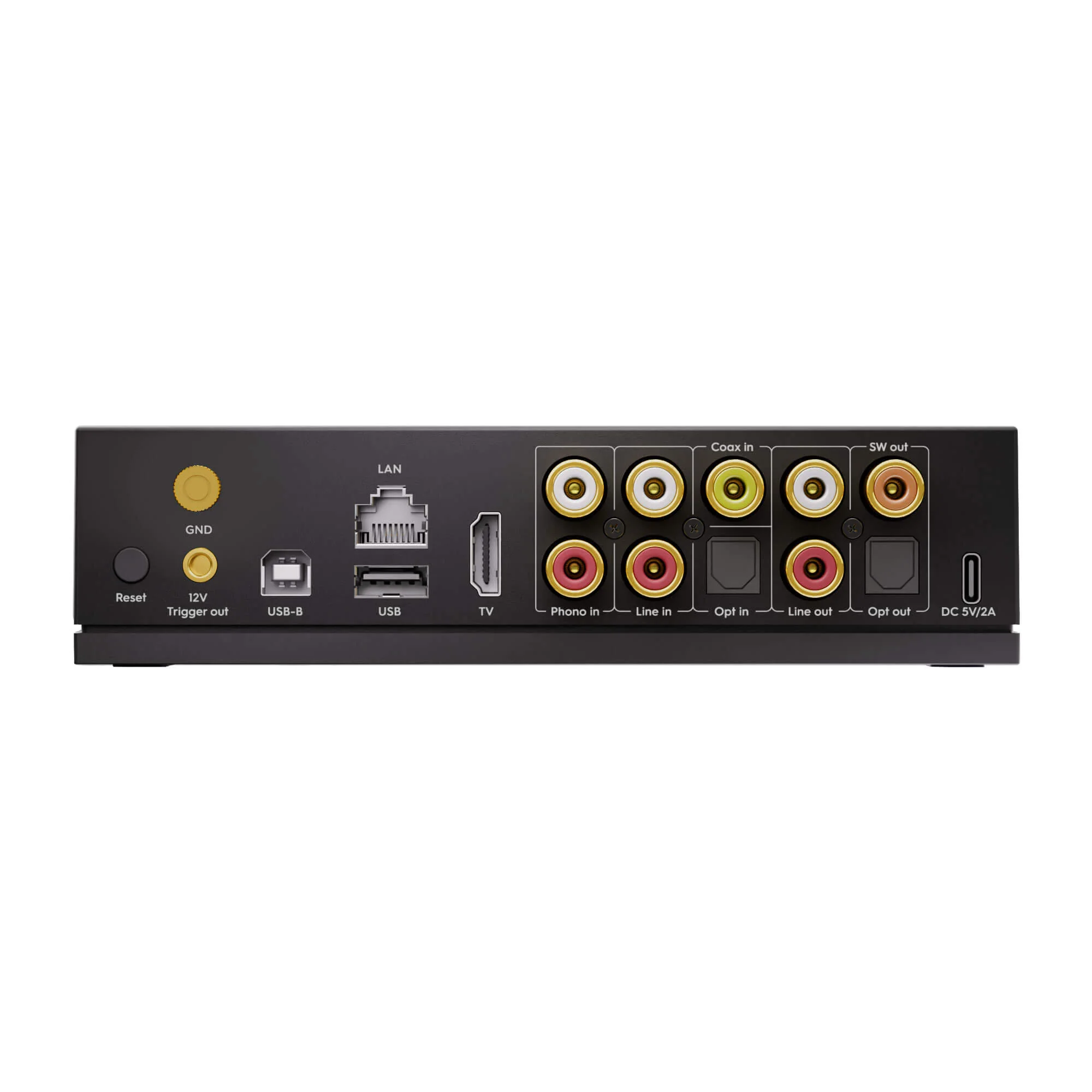 Arylic Streamer LP100