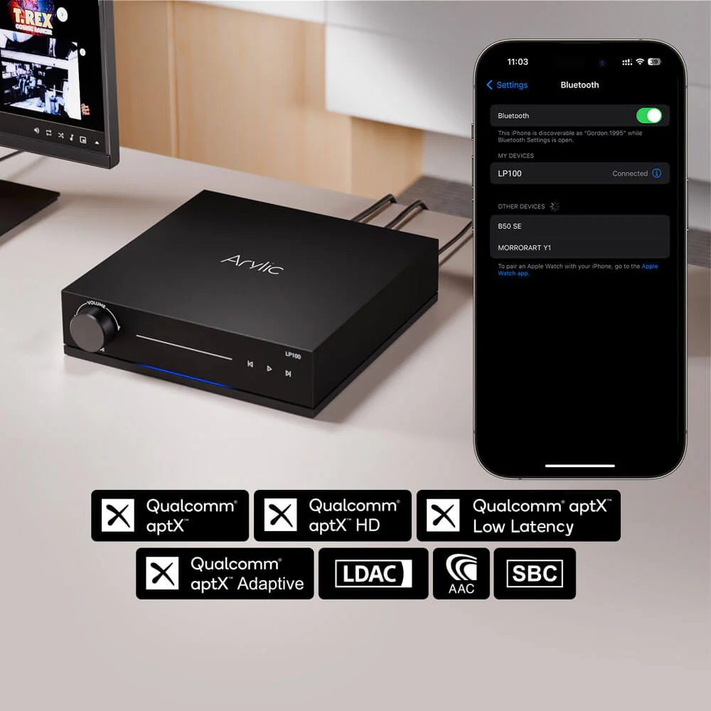 Arylic Streamer LP100